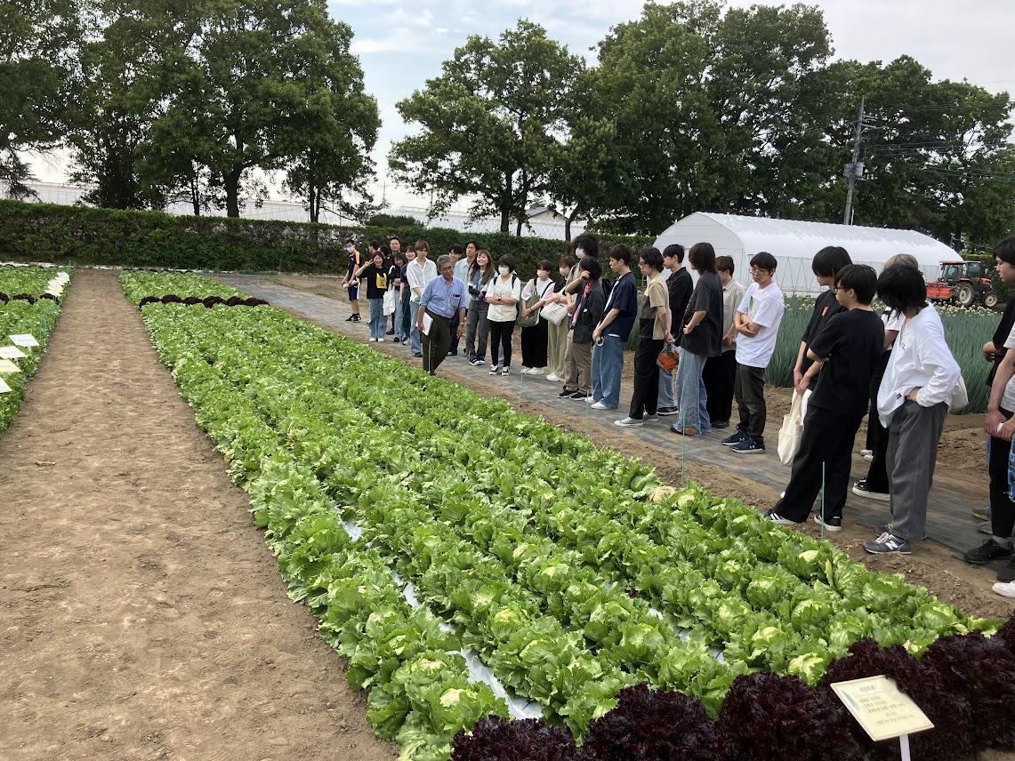 https://www.maebashi-it.ac.jp/department/gr02/upload/IMG_1383.jpg