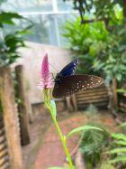 IMG_6402.jpg